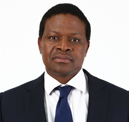 Mr. SM Bhembhe